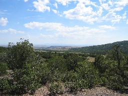 View from the stockade twords Lover's Leap Turnaround